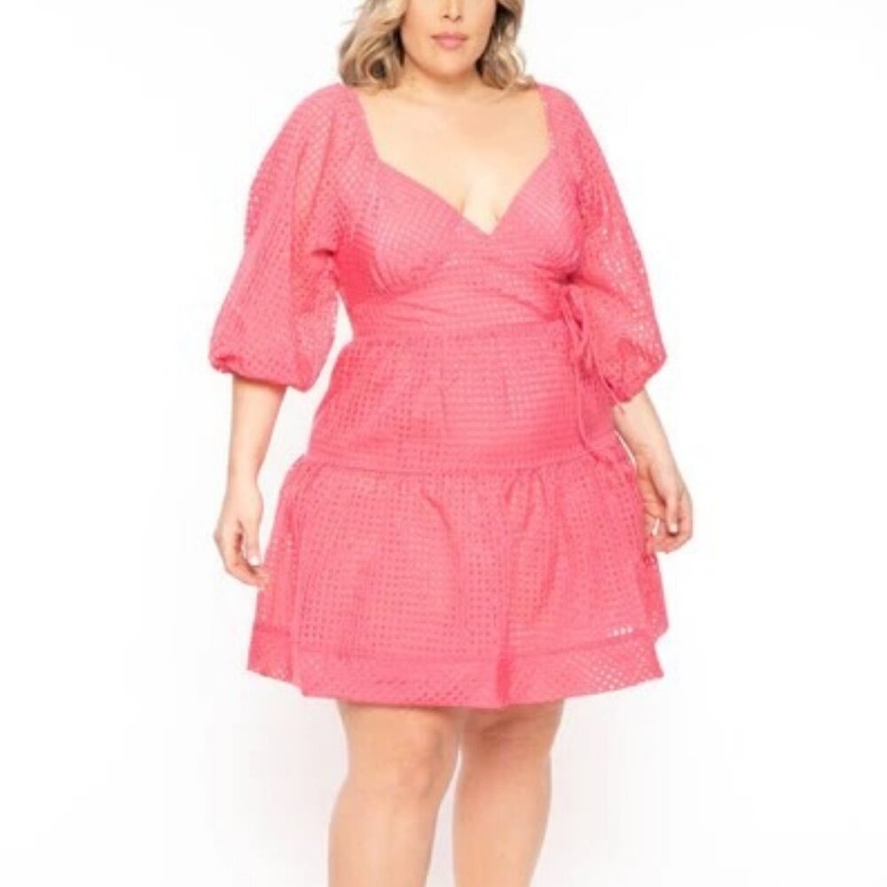 The Sally Plaid Organza Mini Dress!